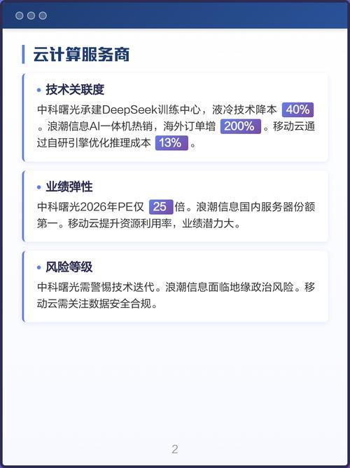 ai芯片龙头与云计算服务商深度解析